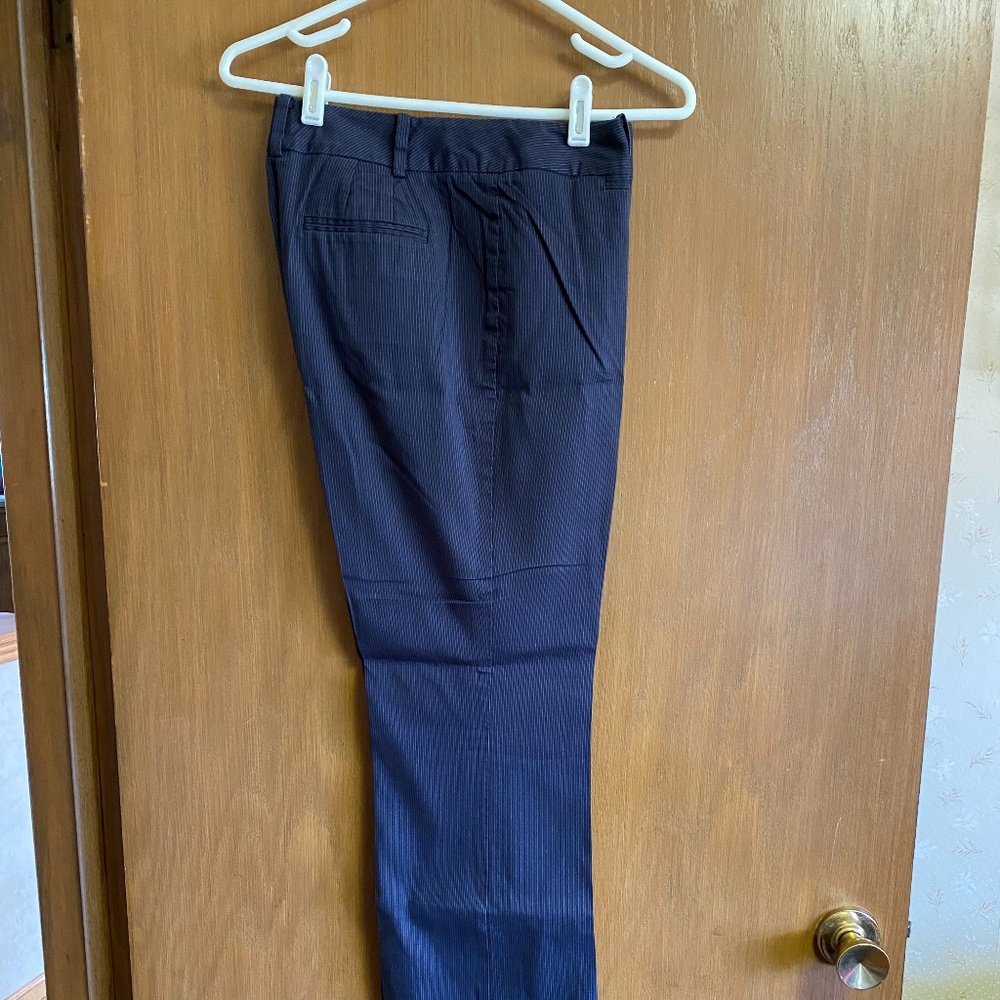 Ann Taylor Dress Pants